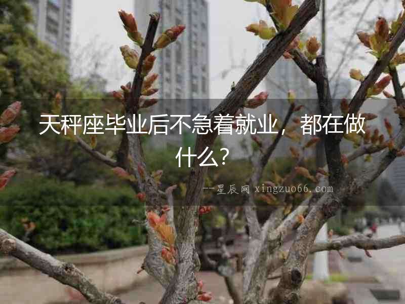 天秤座畢業后不急著就業，都在做什么？