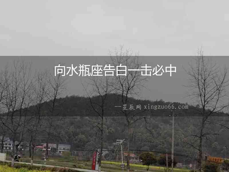 向水瓶座告白一擊必中
