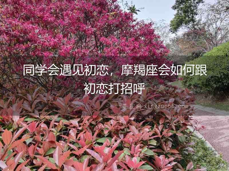 同學會遇見初戀，摩羯座會如何跟初戀打招呼