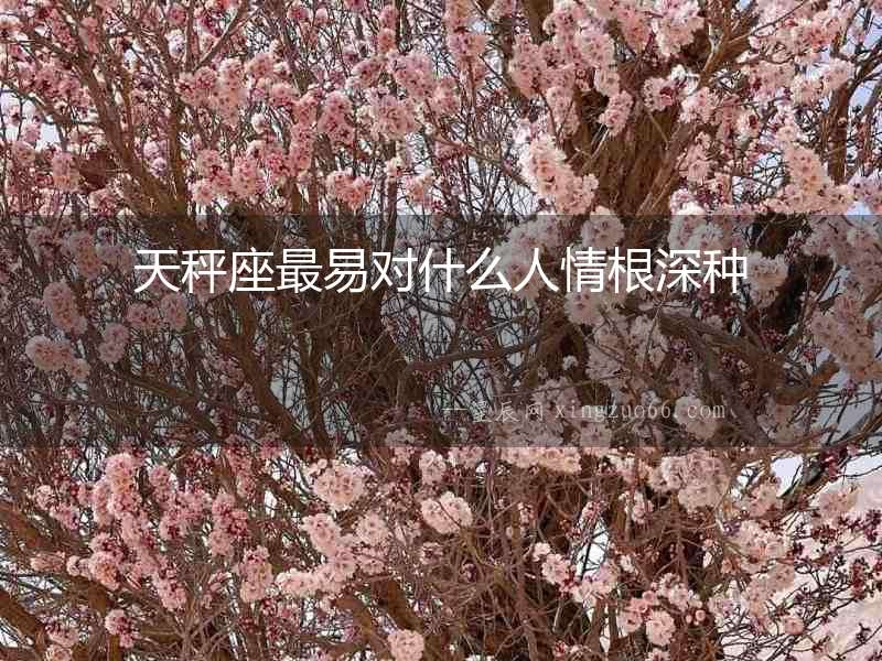 天秤座最易對什么人情根深種