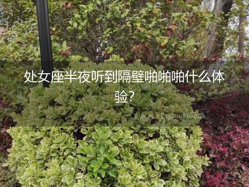 處女座半夜聽到隔壁啪啪啪什么體驗？