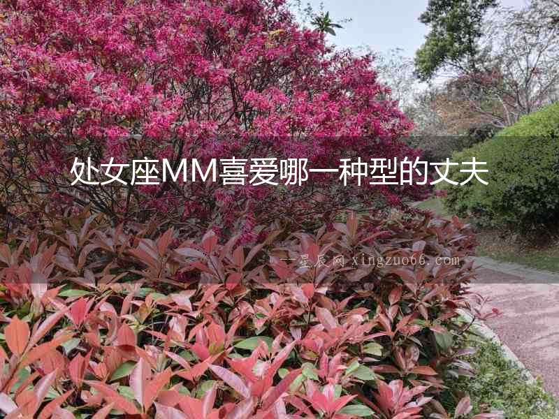 處女座MM喜愛哪一種型的丈夫