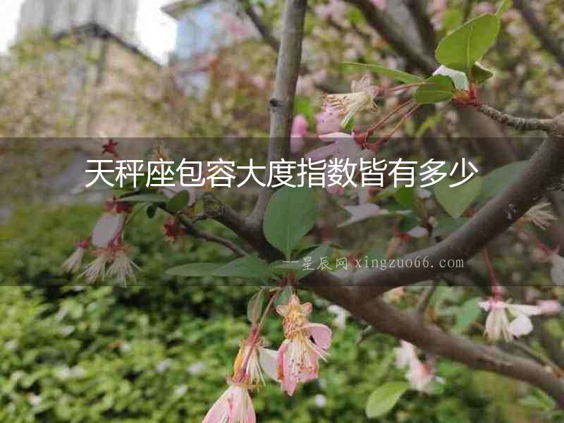 天秤座包容大度指數(shù)皆有多少