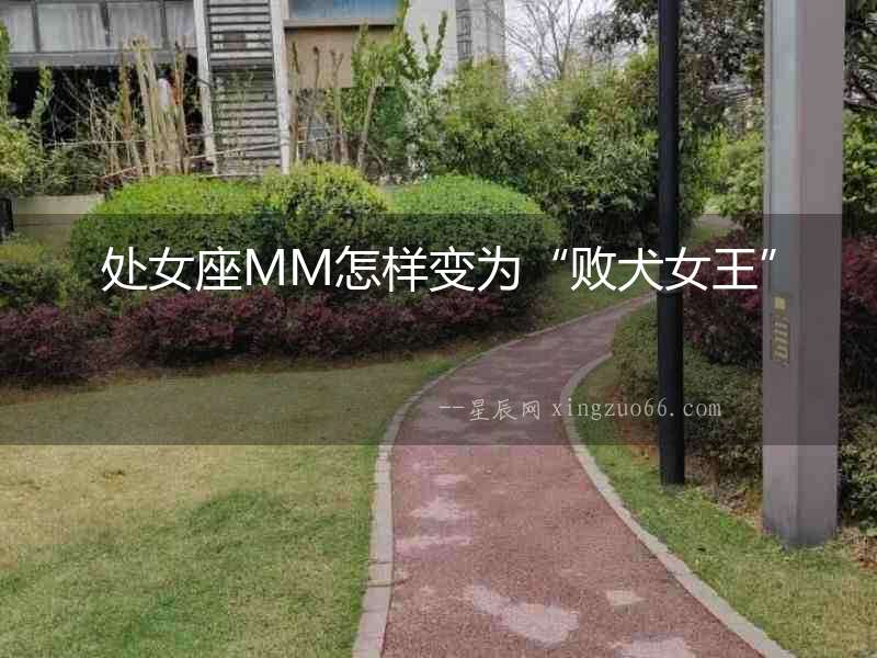 處女座MM怎樣變為“敗犬女王”