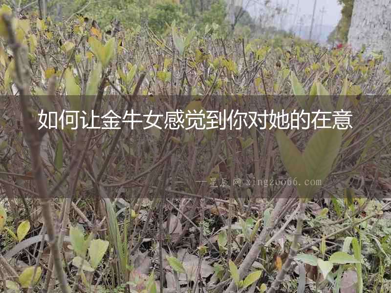 如何讓金牛女感覺到你對她的在意