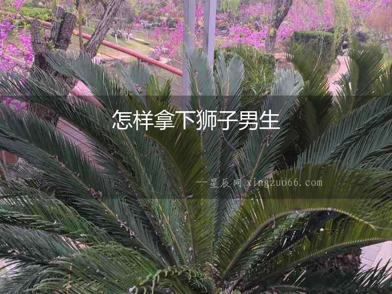 怎樣拿下獅子男生