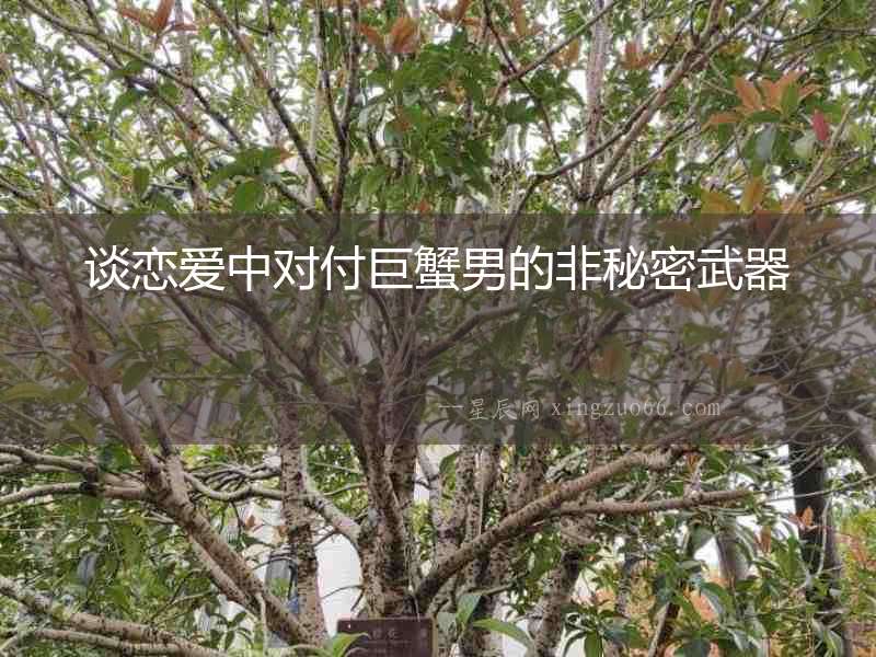 談戀愛中對付巨蟹男的非秘密武器
