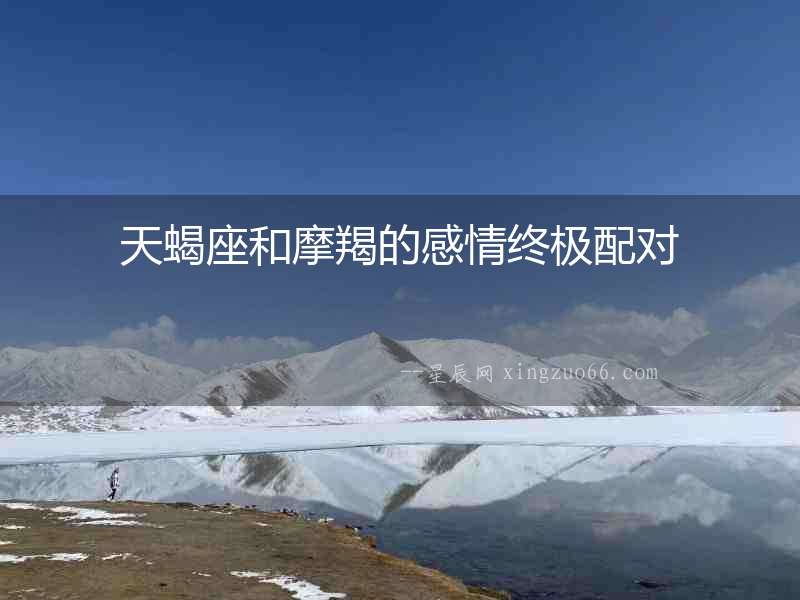 天蝎座和摩羯的感情終極配對