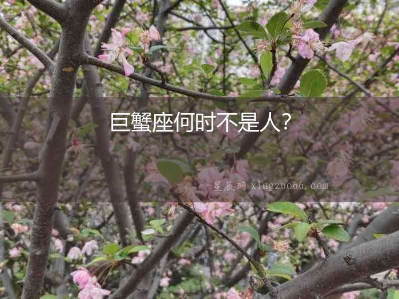 巨蟹座何時不是人？