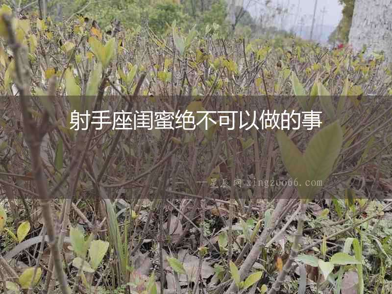 射手座閨蜜絕不可以做的事