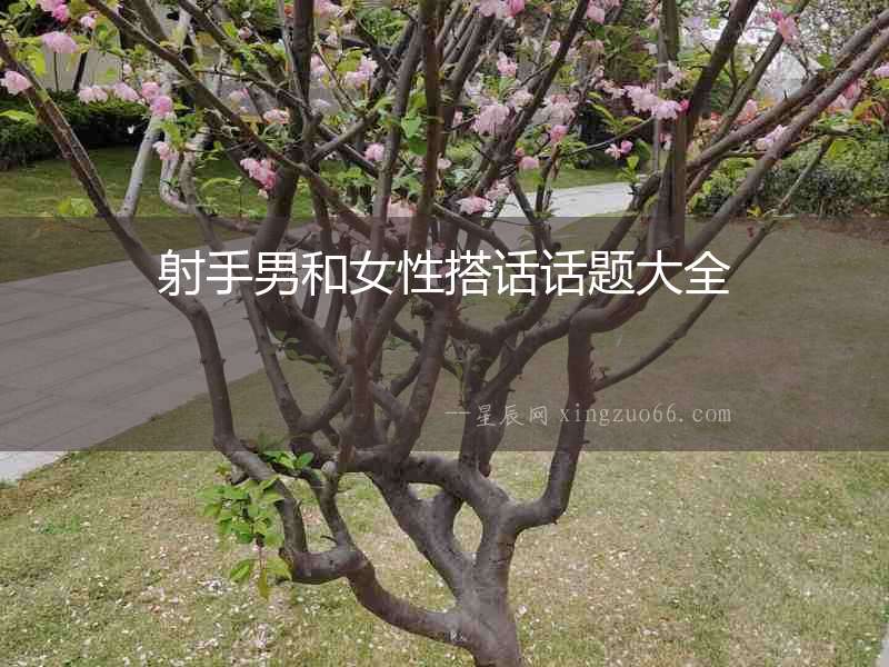 射手男和女性搭話話題大全