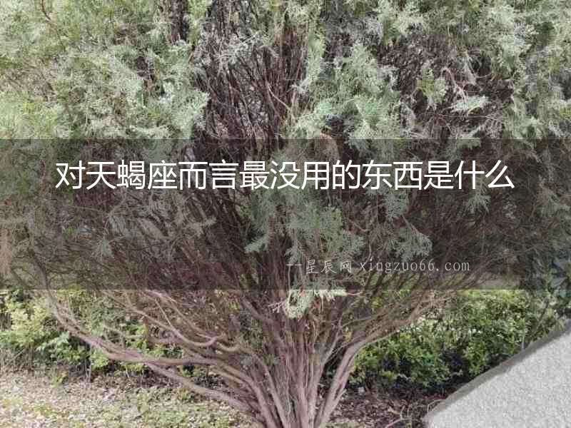 對天蝎座而言最沒用的東西是什么