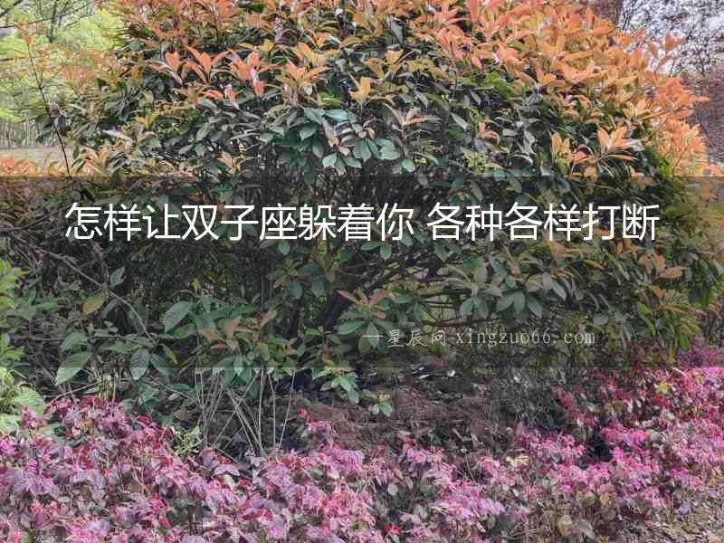 怎樣讓雙子座躲著你 各種各樣打斷