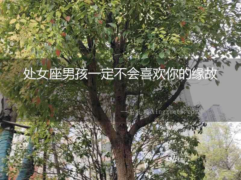處女座男孩一定不會喜歡你的緣故
