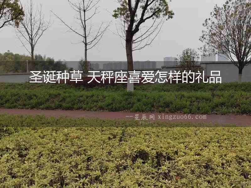 圣誕種草 天秤座喜愛(ài)怎樣的禮品
