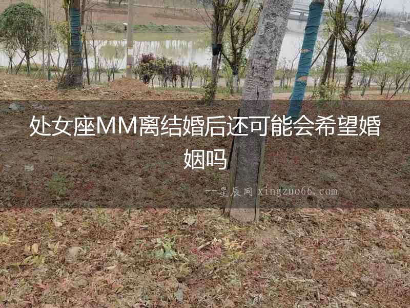 處女座MM離結(jié)婚后還可能會希望婚姻嗎