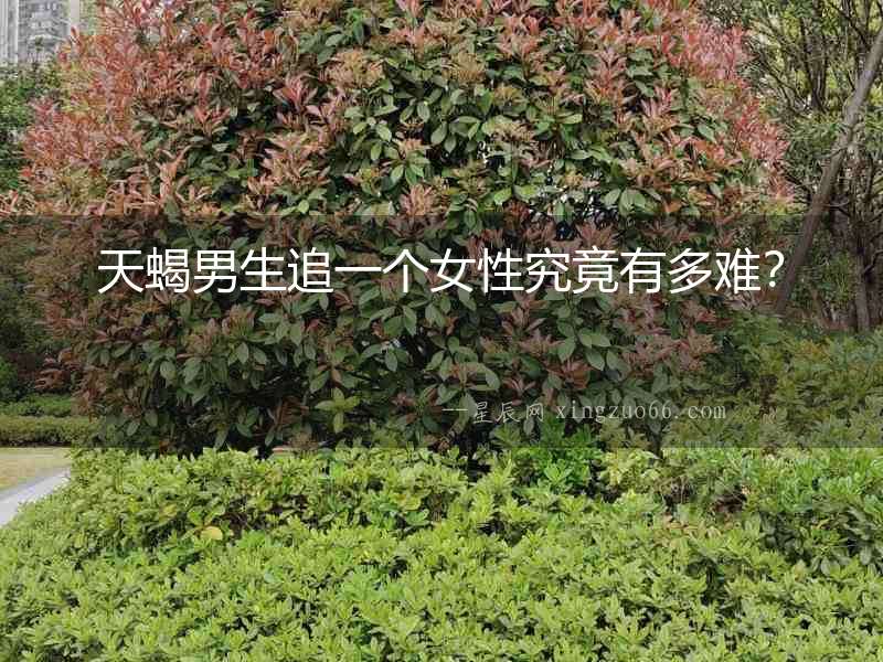 天蝎男生追一個女性究竟有多難？