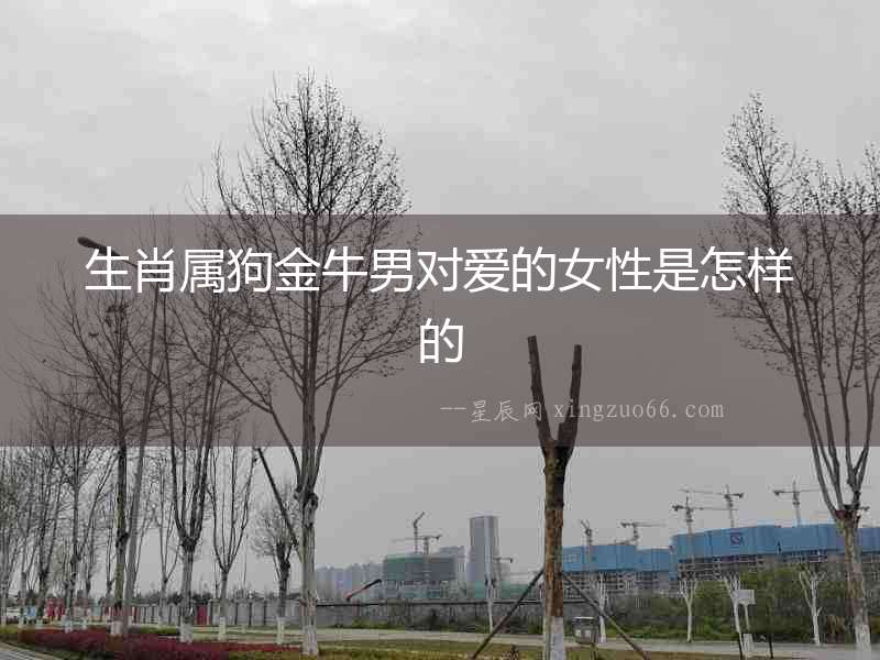 生肖屬狗金牛男對愛的女性是怎樣的