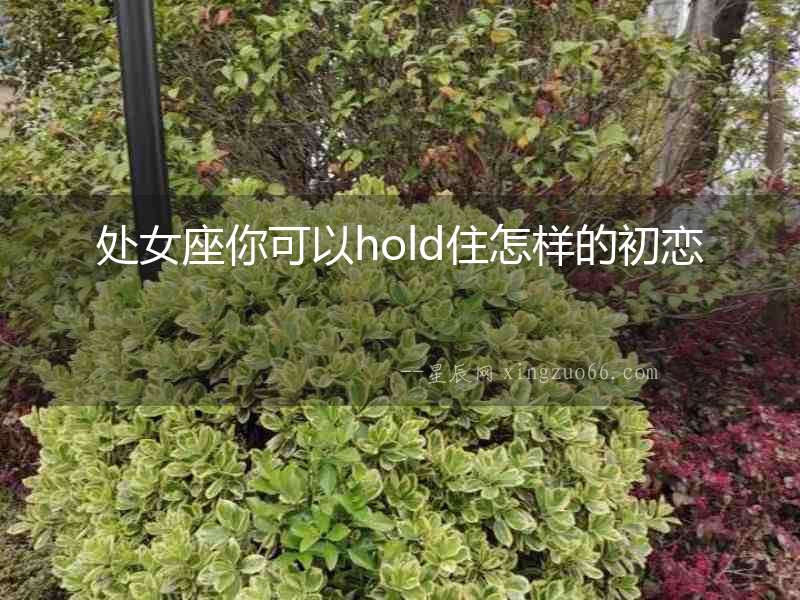 處女座你可以hold住怎樣的初戀