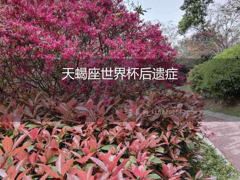 天蝎座世界杯后遺癥