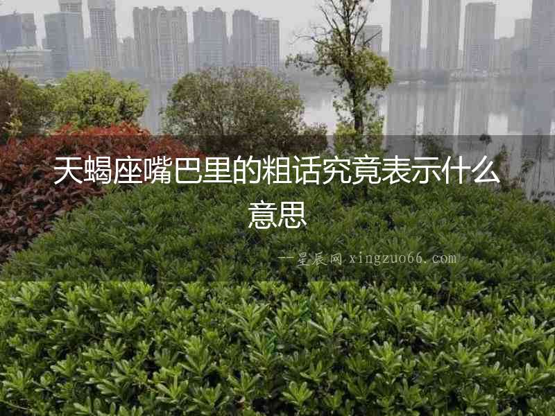 天蝎座嘴巴里的粗話究竟表示什么意思