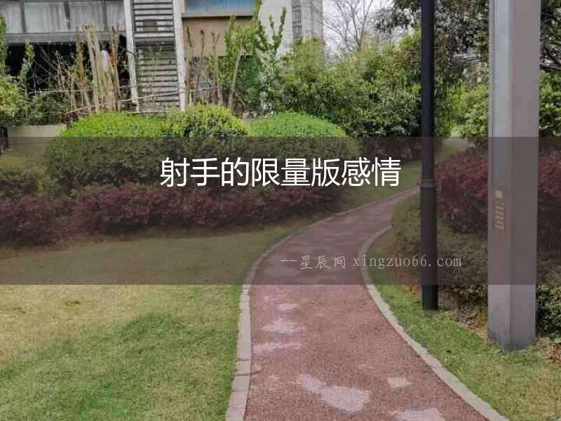 射手的限量版感情