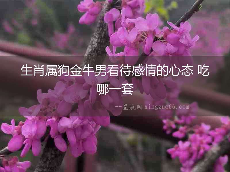 生肖屬狗金牛男看待感情的心態 吃哪一套