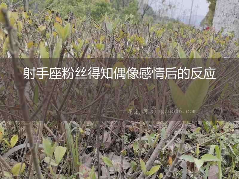 射手座粉絲得知偶像感情后的反應