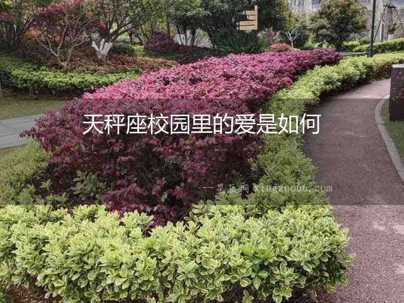 天秤座校園里的愛是如何