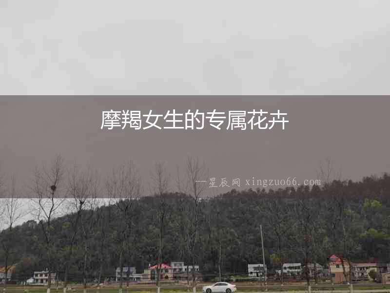 摩羯女生的專屬花卉