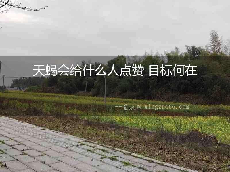 天蝎會給什么人點(diǎn)贊 目標(biāo)何在