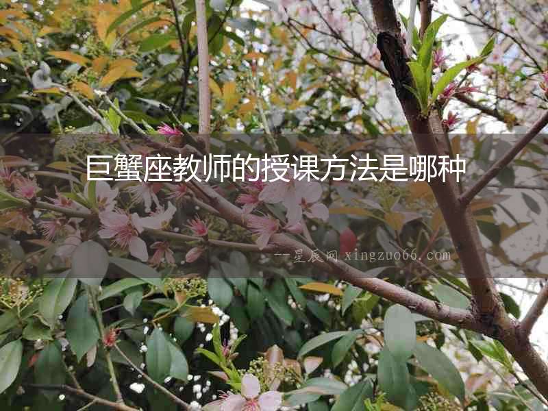 巨蟹座教師的授課方法是哪種