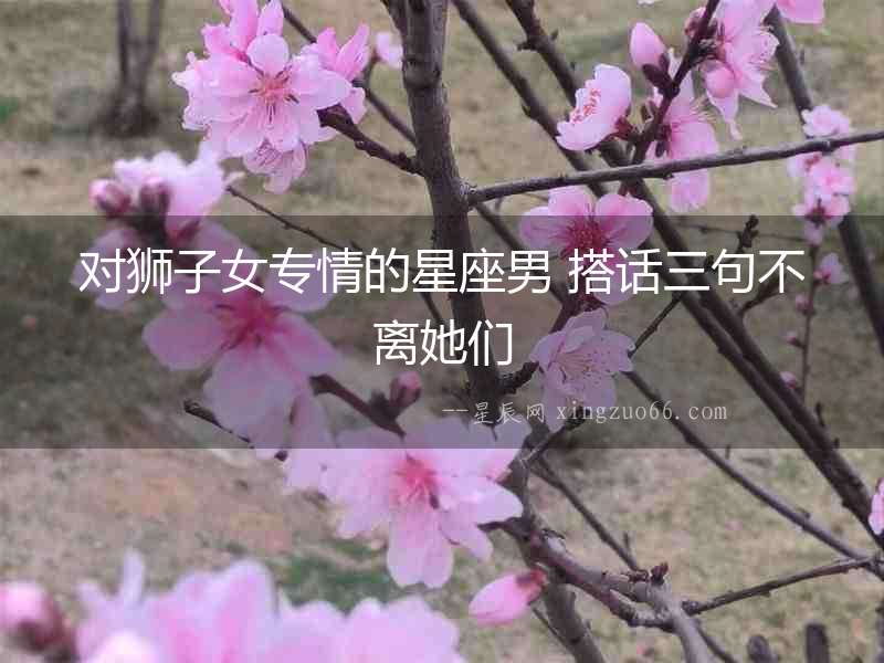 對獅子女專情的星座男 搭話三句不離她們