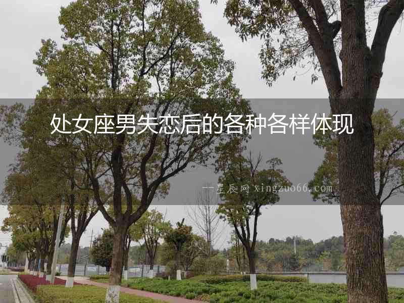 處女座男失戀后的各種各樣體現