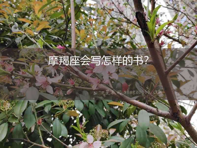 摩羯座會寫怎樣的書？