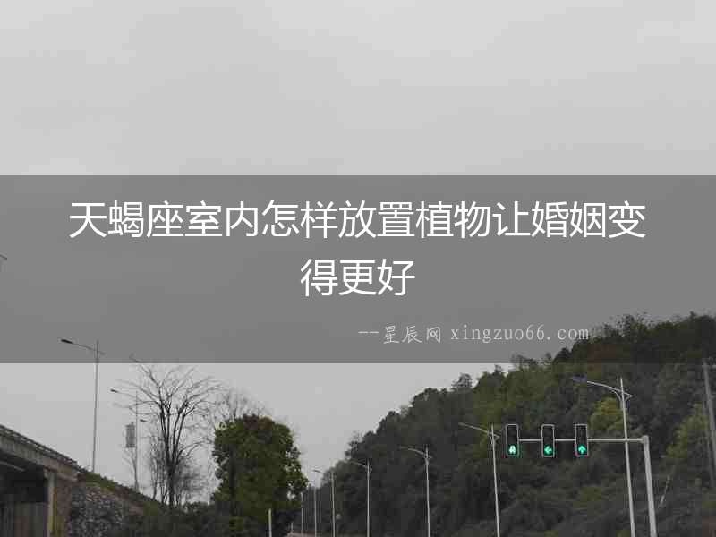 天蝎座室內怎樣放置植物讓婚姻變得更好