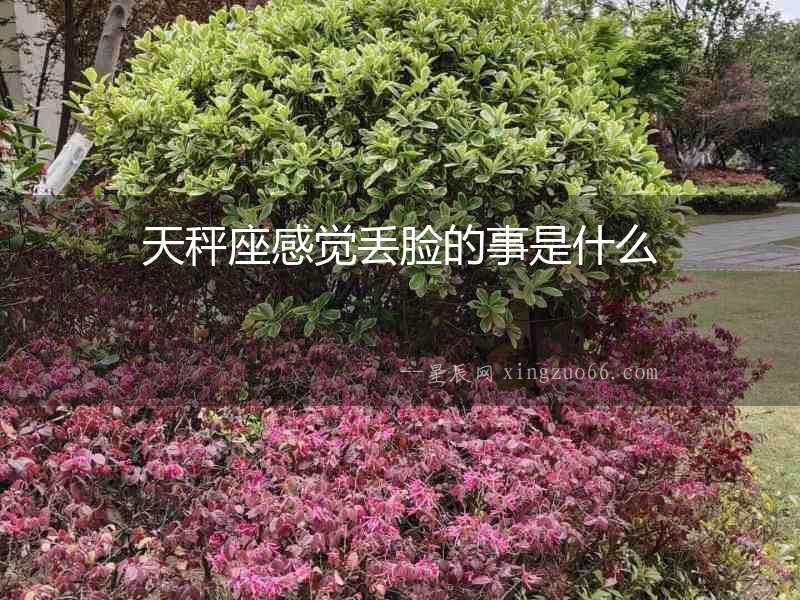 天秤座感覺丟臉的事是什么