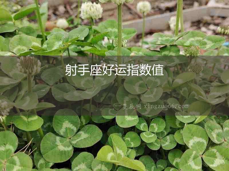 射手座好運指數值