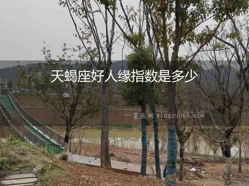 天蝎座好人緣指數是多少
