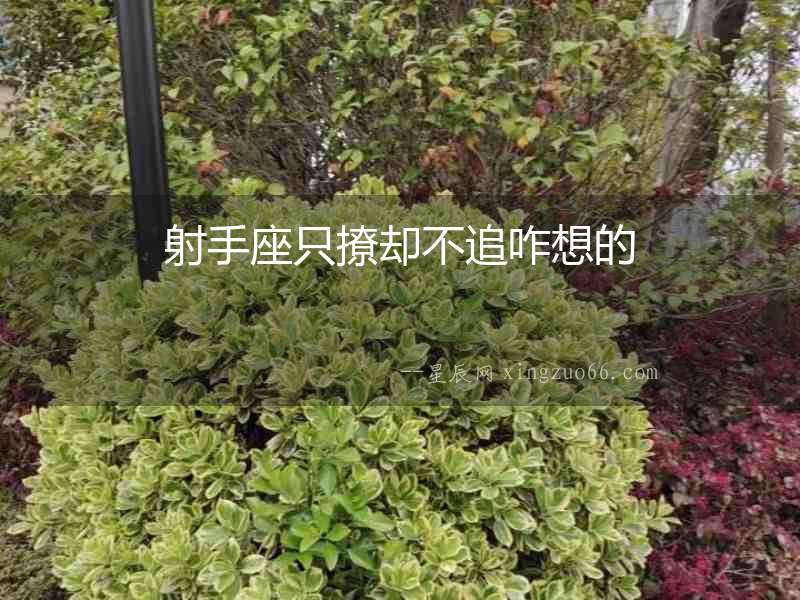 射手座只撩卻不追咋想的