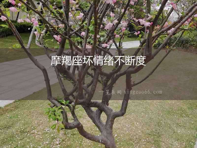 摩羯座壞情緒不斷度