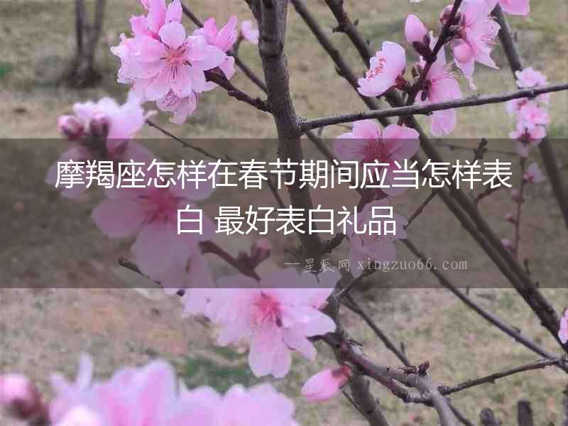 摩羯座怎樣在春節(jié)期間應(yīng)當(dāng)怎樣表白 最好表白禮品