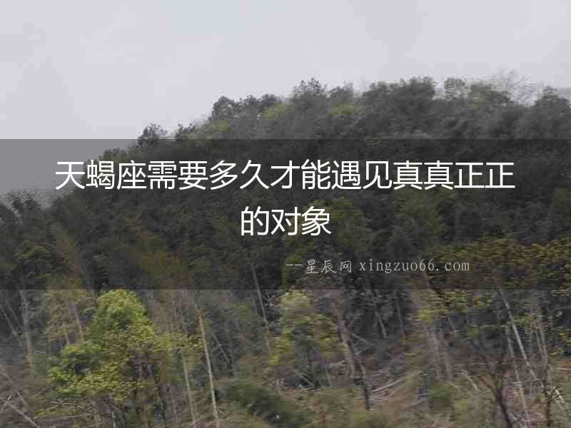 天蝎座需要多久才能遇見真真正正的對象