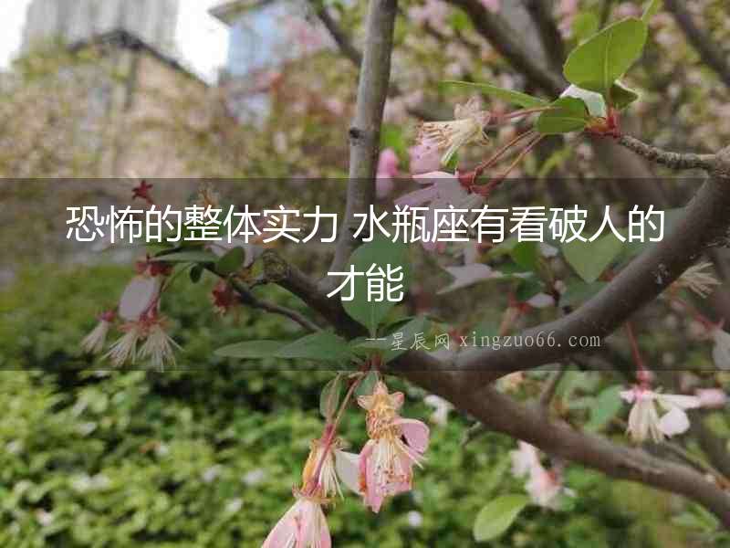 恐怖的整體實力 水瓶座有看破人的才能