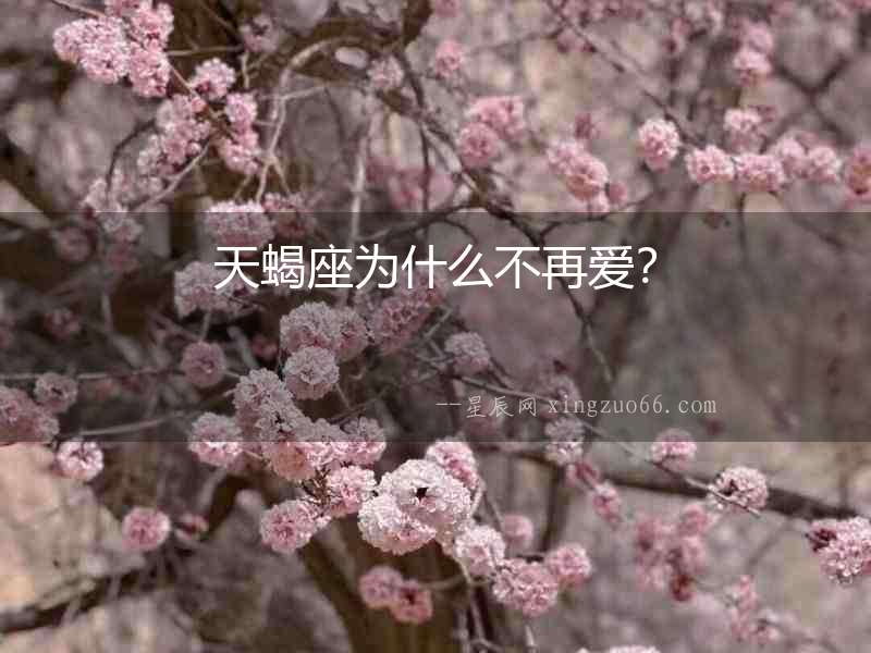 天蝎座為什么不再愛？