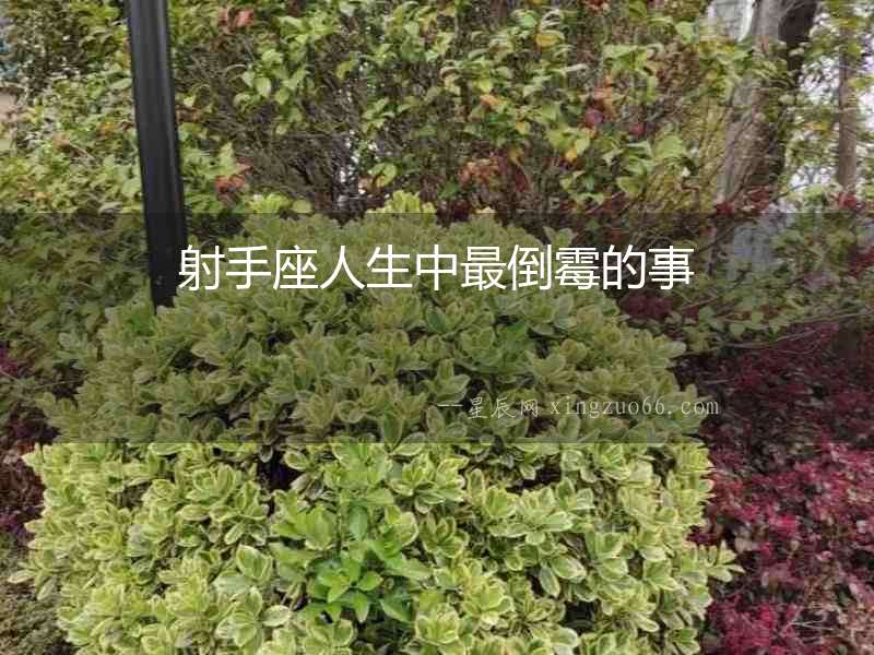 射手座人生中最倒霉的事