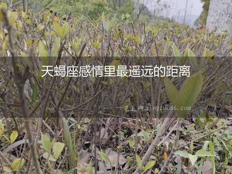 天蝎座感情里最遙遠的距離