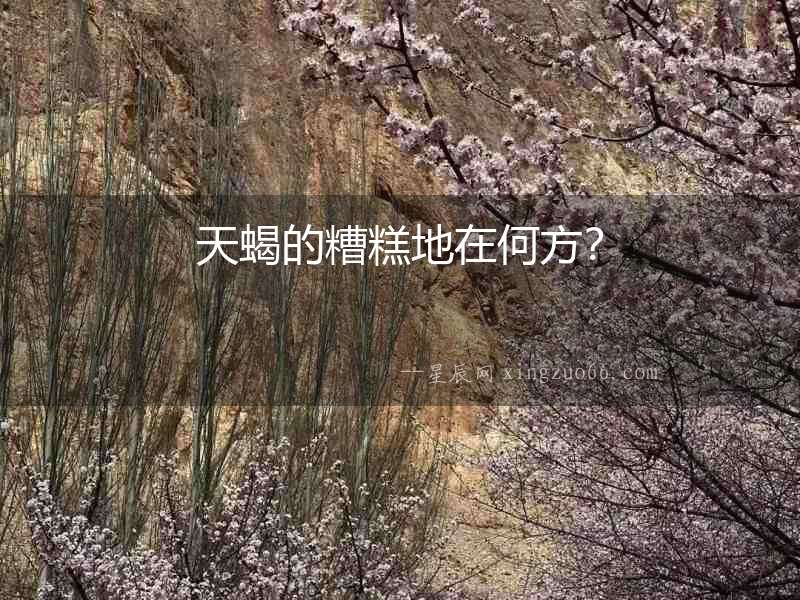 天蝎的糟糕地在何方？