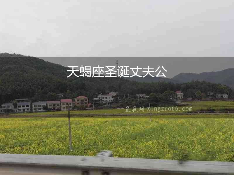 天蝎座圣誕丈夫公