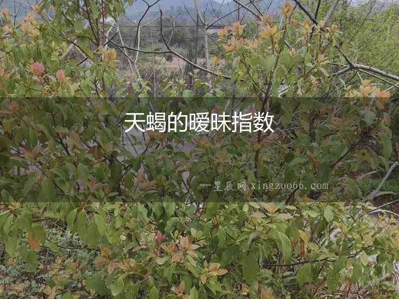 天蝎的曖昧指數
